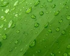 汽车油耗排名（汽车油耗排名）