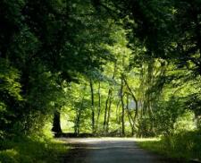 汽车油耗排名（汽车油耗排名）